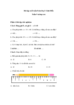Phiếu bài tập cuối tuần Toán 2 Cánh Diều - Tuần 9 (nâng cao)