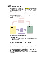 Ôn tập - Môn Thị trường và các định chế tài chính - Đại Học Kinh Tế - Đại học Đà Nẵng