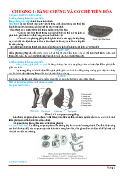 Bài tập trắc nghiệp bằng chứng tiến hóa và cơ chế tiến hóa sinh học 12