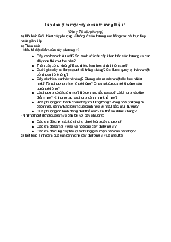 Lập dàn ý tả một cây ở sân trường | Tập làm văn lớp 4