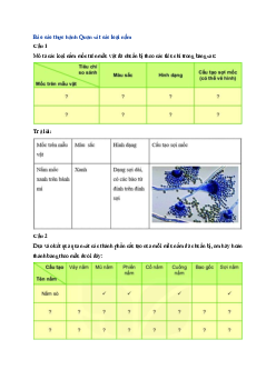 Giải Khoa học tự nhiên lớp 6 - Bài 33: Thực hành Quan sát các loại nấm | Kết nối tri thức