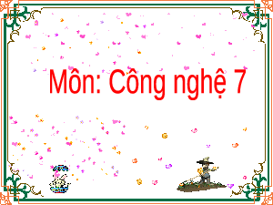 Bài 11: Phòng và trị bệnh cho vật nuôi | Bài giảng PowerPoint Công nghệ 7 | Kết nối tri thức