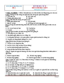 TOP 10 đề thi HKII môn Sinh học 9 (có đáp án)