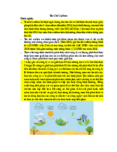 Thực Trạng, Tác Động và Giải Pháp Bền Vững Tín Chỉ Carbon | Tài liệu Con người và môi trường