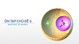 Giáo án điện tử Khoa học tự nhiên 6 Chủ đề 6 Chân trời sáng tạo : Ôn tập