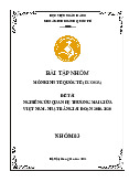 Bài tập nhóm: Nghiên cứu Thương mại Việt - Nhật 2010-2020 môn Kinh doanh quốc tế | Học viện Ngân hàng