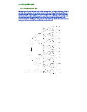 Lý thuyết Ra Quyết Định và Ứng Dụng Cây Quyết Định trong Đầu Tư Tài Chính