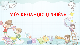Giáo án điện tử Khoa học tự nhiên 6 bài 19 Chân trời sáng tạo : Cơ thể đơn bào và cơ thể đa bào
