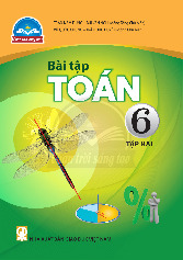 Sách bài tập Toán 6 (tập 2) (Chân Trời Sáng Tạo)