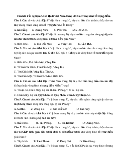 Câu hỏi trắc nghiệm Atlat Địa Lý Việt Nam trang 30: Các vùng kinh tế trọng điểm (Có đáp án)
