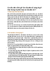 Cơ cấu dân số là gì? Cơ cấu dân số vàng là gì? Đặc trưng và phân loại cơ cấu dân số ?