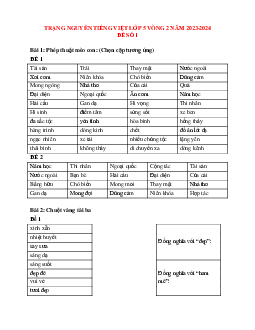 Đề thi Trạng nguyên Tiếng Việt lớp 5 năm 2023 - 2024 Vòng 2