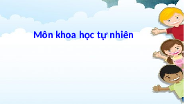 Giáo án điện tử Khoa học tự nhiên 6 bài 35 Kết nối tri thức : Thực hành Quan sát và phân biệt một số nhóm thực vật