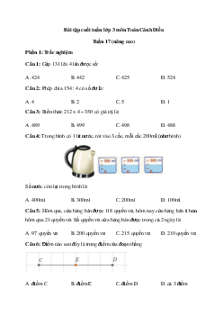 Phiếu bài tập cuối tuần lớp 3 - Tuần 17 (nâng cao) | Cánh Diều
