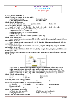 TOP 10 đề kiểm tra học kỳ I môn sinh học 11 (có lời giải)