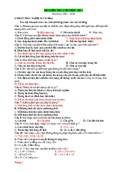 Đề thi học kỳ 1 Tin 7 năm 2023-2024 (có đáp án ma trận đặc tả)