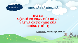 Giáo án điện tử TN&XH 3 Bài 15 Kết nối tri thức: Một số bộ phận của động vật và chức năng của chúng