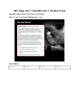 SBT Tiếng Anh 7 Cánh Diều Unit 5 The Real World