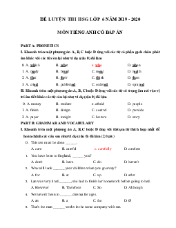 Đề luyện thi học sinh giỏi lớp 6 môn Tiếng Anh năm học 2019 - 2020 số 7