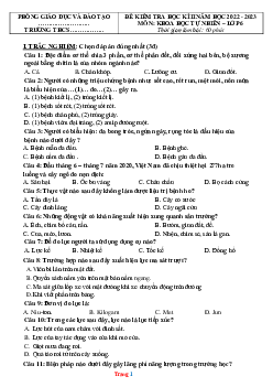 Đề kiểm tra cuối học kỳ 2 KHTN 6 chân trời sáng tạo 2022-2023 (có đáp án)