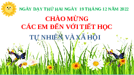 Giáo án điện tử Tự nhiên và Xã hội 2 Bài 15 Kết nối tri thức: Ôn tập chủ đề Cộng đồng địa phương