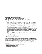 Milo ở thị trường Malaysia chiến lược thâm nhập thị trường | môn marketing căn bản | trường Đại học Huế