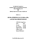 Đường lối đối ngoại của đảng cộng sản Việt Nam thời kỳ đổi mới | Tiểu luận môn Lịch sử Đảng Trường đại học sư phạm kỹ thuật TP. Hồ Chí Minh