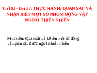 Giáo án điện tử Khoa học tự nhiên 6 bài 37 Kết nối tri thức : Thực hành Quan sát và nhận biết một số nhóm động vật ngoài thiên nhiên