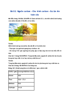 Giải Khoa học tự nhiên 9 Cánh diều Bài 32: Nguồn carbon. Chu trình carbon. Sự ấm lên toàn cầu