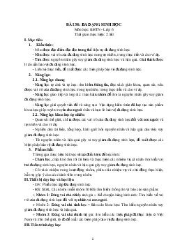 Giáo án Khoa học tự nhiên 6 sách Kết nối tri thức với cuộc sống Bài 38