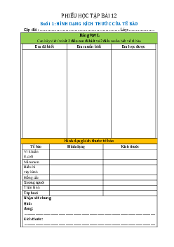 Chủ đề 7. Bài 12: Tế bào - Đơn vị cơ bản của sự sống(Phiếu học tập) | Bài giảng KHTN 6 | Cánh diều