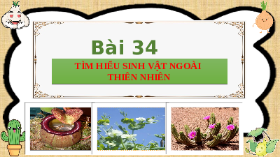 Bài 34: Tìm hiểu sinh vật ngoài thiên nhiên | Bài giảng PowerPoint KHTN 6 | Chân trời sáng tạo
