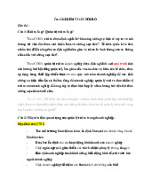Đề cương môn Kiểm soát nội bộ - Trường Đại học lao động -  xã hội.