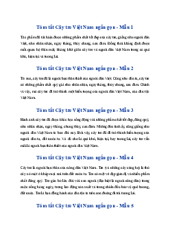 Tóm tắt bài Cây tre Việt Nam hay, ngắn nhất | Ngữ văn 6 Kết nối tri thức