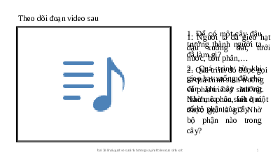 Giáo án điện tử Khoa học tự nhiên 7 bài 36 Kết nối tri thức : Khái quát về sinh trưởng và phát triển ở sinh vật