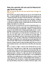 Phân tích quá trình hồi sinh của Chí Phèo từ khi gặp Thị Nở hay nhất