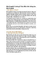 Mèo Ragdoll là mèo gì? Đặc điểm hình dáng của Mèo Ragdoll