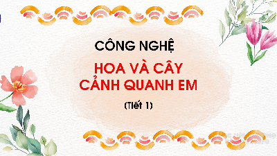 Giáo án điện tử Công nghệ 4 Bài 1 Chân trời sáng tạo: Hoa và cây cảnh quanh em