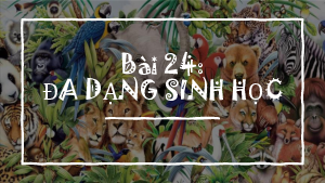 Chủ đề 8. Bài 24: Đa dạng sinh học  | Bài giảng PowerPoint KHTN 6 | Cánh diều
