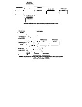 Mô hình UTAUT và TAM - Tóm tắt chính xác và dễ hiểu
