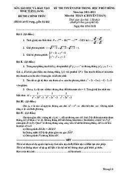 Đề tuyển sinh lớp 10 môn Toán (chuyên Toán) năm 2021 – 2022 sở GD&ĐT Tiền Giang
