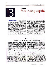 Phân Tích Môi Trường Tiếp Thị và Chiến Lược Của Xerox | Nguyên Lý Marketing | Đại học Tôn Đức Thắng