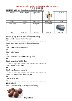 Đề thi Trạng nguyên Tiếng Việt lớp 1 năm 2023 - 2024 Vòng thi Hội