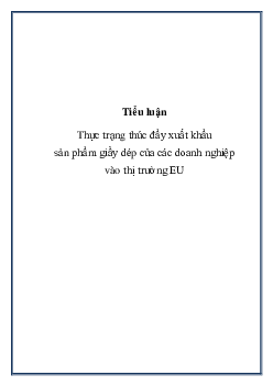Tiểu luận Thực trạng thúc đẩy xuất khẩu sản phẩm giầy dép của các doanh nghiệp vào thị trường EU