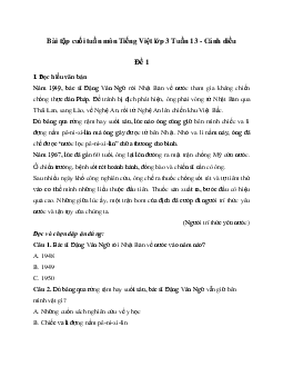 Bài tập cuối tuần lớp 3 môn Tiếng Việt Cánh diều - Tuần 13