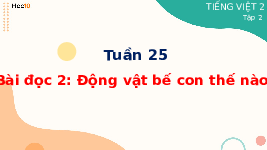 Giáo án điện tử Tiếng việt 2 Bài 25 Cánh diều: Sư tử xuất quân - Đọc: Động vật bế con thế nào?