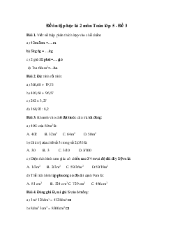 Đề thi học kì 2 môn Toán lớp 5 năm 2024 - Đề 3