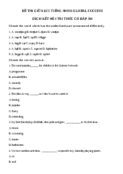 Đề thi giữa học kì 2 môn Tiếng Anh 6 năm 2023 - 2024 sách Global Success | Đề 6