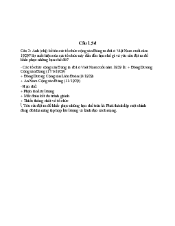 Câu hỏi  "Kể tên Các tổ chức cộng sản Đảng ra đời ở Việt Nam cuối năm 1929?" (có đáp án)
