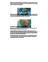 Mối quan hệ giữa Thế giới quan và Nhân sinh quan trong triết học